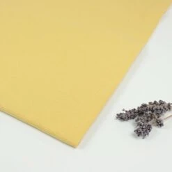 Bio Jersey Stoff Uni Golden