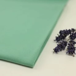 Bio Jersey Stoff Uni Grün Pistazie