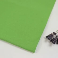 Bio Jersey Stoff Uni Kiwi Grün Stoffonkel