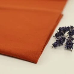 Bio Jersey Stoff Uni Rost