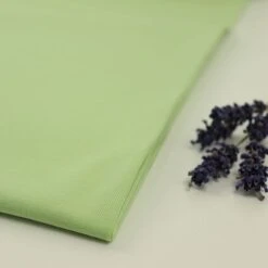 Bio Jersey Stoff Uni Schaumgrün