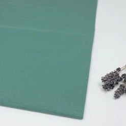 Bio Jersey Stoff Uni Staubgrün Stoffonkel