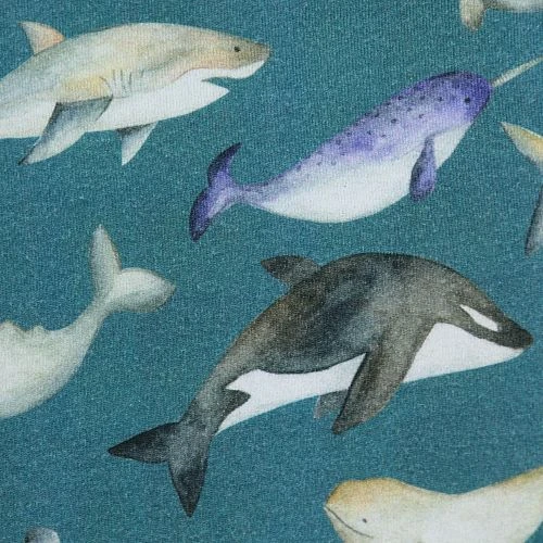 Bio Jersey Sea Creatures In Petrol 3 Bio Jersey Sea Creatures In Petrol – Bild 3