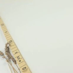 Uni Bio Popeline Candy Cotton In Ecru Von Verhees